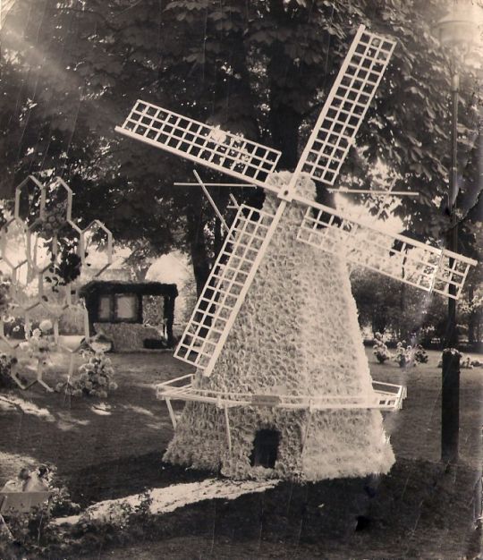 molen.jpg